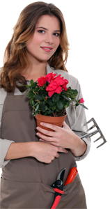 Assistance administrative société